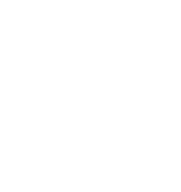 Aspel SAE 10.00